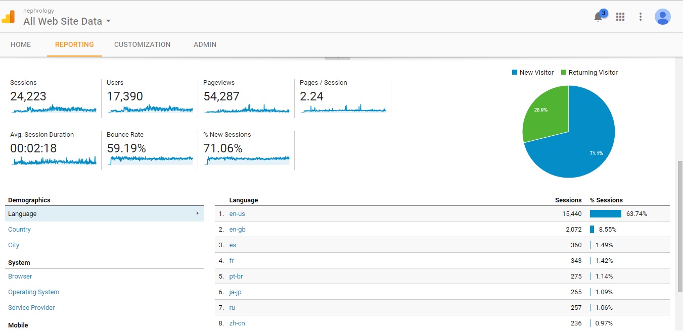 Visitor Analysis Report